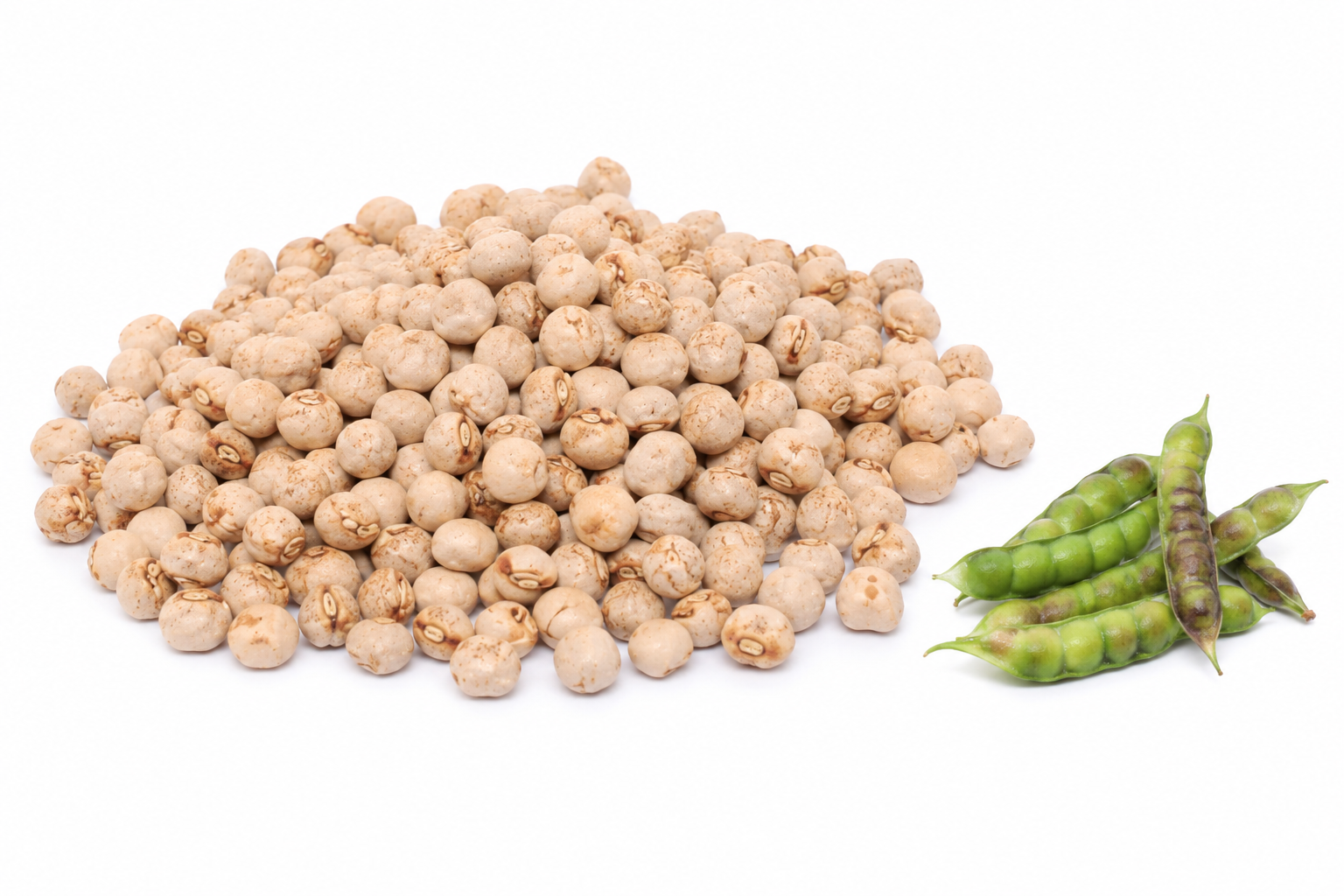 Pigeon Peas (Cajanus Cajan)