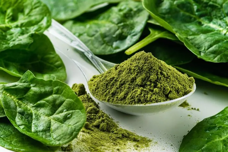 Spinach Powder
