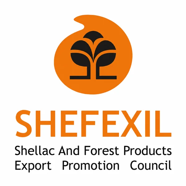 SHEFEXIL